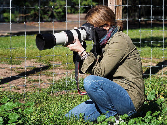 Long Island Game Farm Workshop 2020