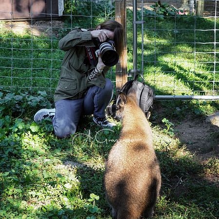 Long Island Game Farm Workshop 2020
