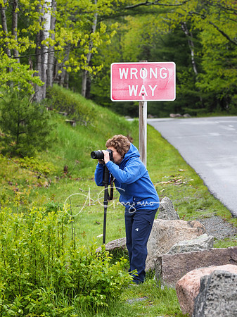 Acadia Workshop 2022