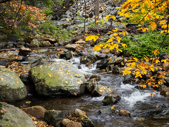 Adirondacks 2020