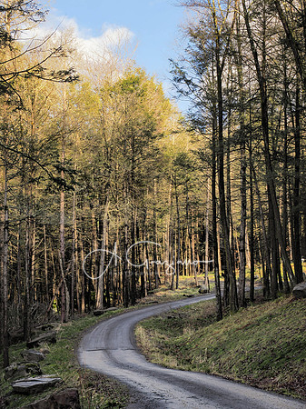 Catskills West