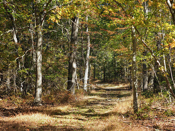 Wertheim NWR