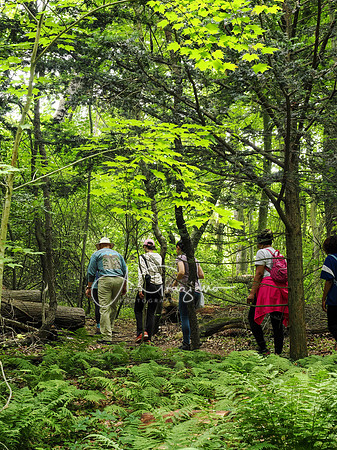 National Trail Day at Upland Farm 2025