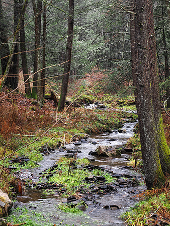 Catskills West