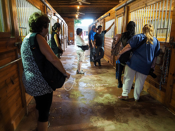 Baiting Hollow Horse Rescue Workshop - 2016