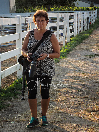 Baiting Hollow Horse Rescue Workshop - 2016