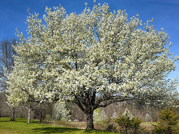 Machimoodus State Park