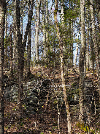 Machimoodus State Park