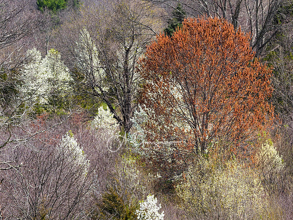 Machimoodus State Park