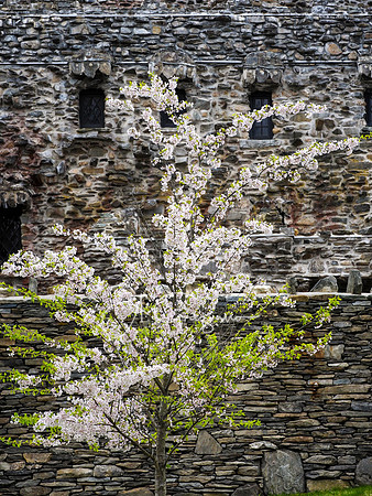 Gillette Castle State Park
