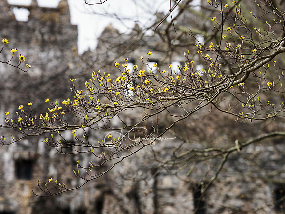 Gillette Castle State Park