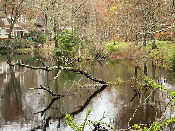 Chester, CT