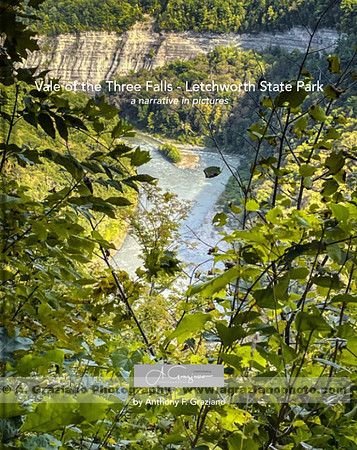 z Book Cover