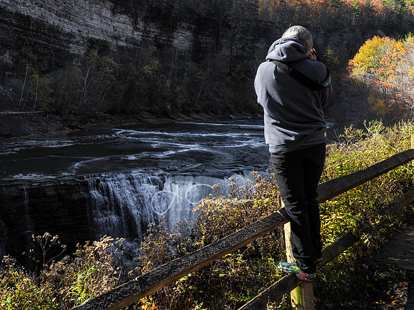 Letchworth Workshop
