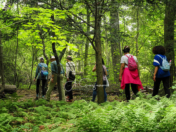 National Trail Day at Upland Farm 2025