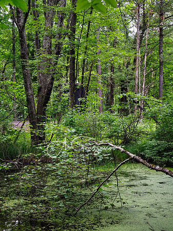 Getaway - Catskills East 2024