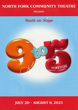 --9 to 5 Playbill
