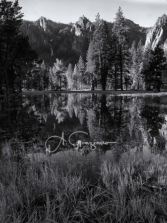 Ode to Ansel - Yosemite