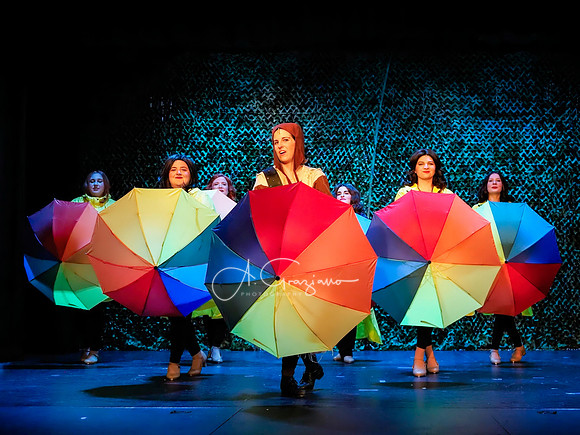 Spamalot 2024