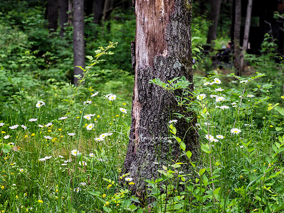 Getaway - Catskills East 2024