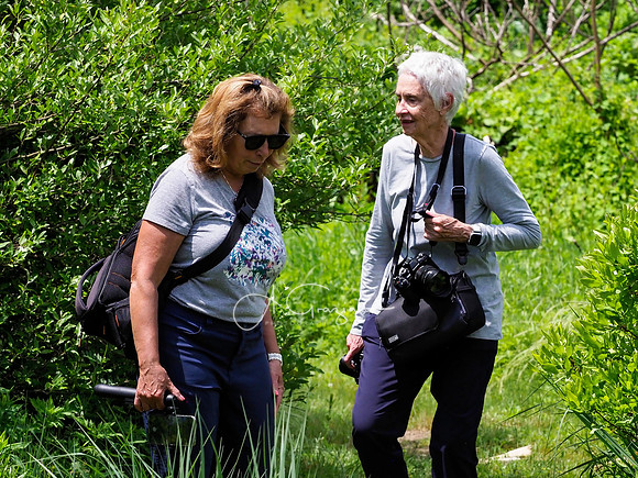 Landcraft Gardens Workshop 2024