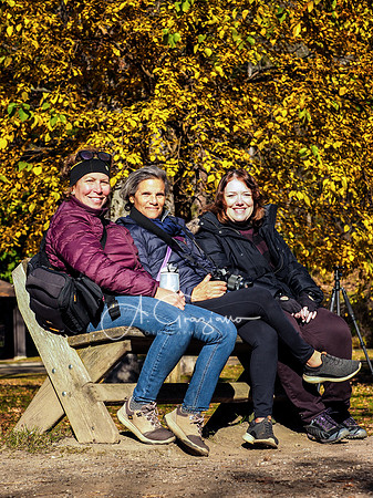 Letchworth Workshop