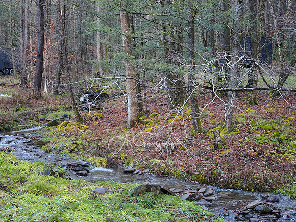 Catskills West