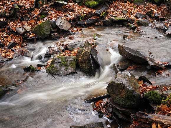 Catskills West
