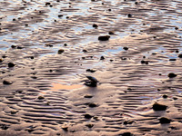 Last Gasp - Otis Pike High Dune Wilderness - Smithpoint Beach