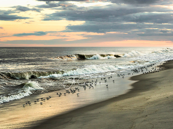 Coastal Mood - Smithpoint Beach