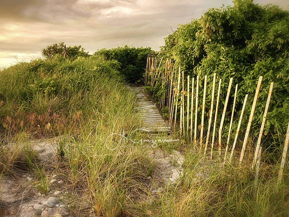 Lazy Daze - Wading River Inlet