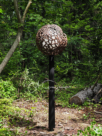 CEED Sculpture in the Garden 2023