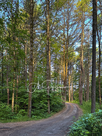Getaway - Catskills East 2024