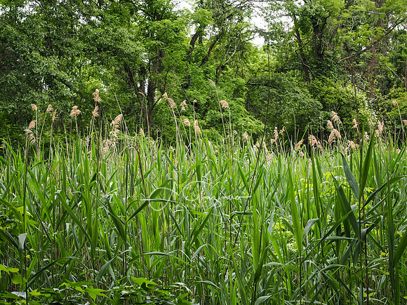 National Trail Day at Upland Farm 2025