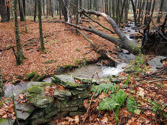 Catskills West