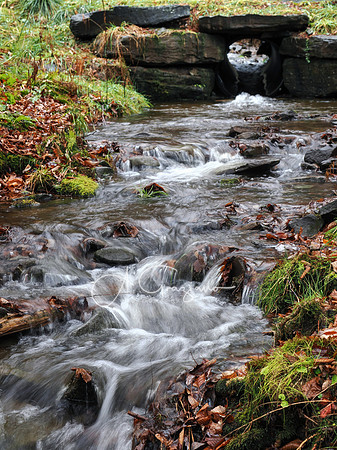 Catskills West