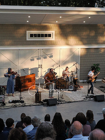 Adam Ezra Band - Foundation for Wildlife Sustainability