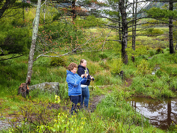 Acadia Workshop 2022