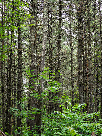 Getaway - Catskills East 2024