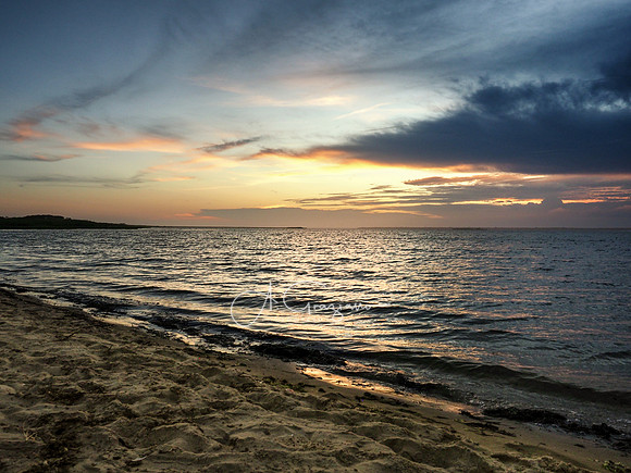 Evening Glow - Otis Pike Fire Island High Dune Wilderness