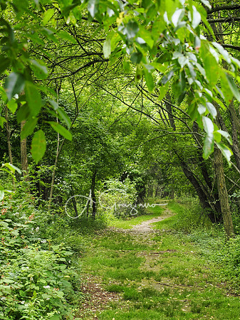 National Trail Day at Upland Farm 2025