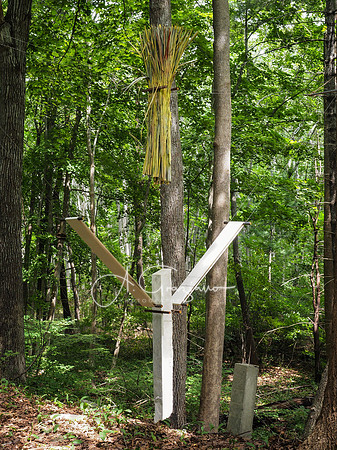 CEED Sculpture in the Garden 2023