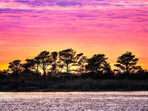 Light Touch - Captree State Park