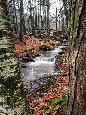Catskills West