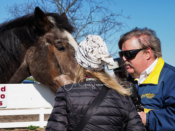 BH Rescue Charity Photo Shoot 2018