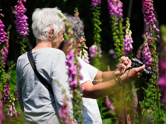 Landcraft Gardens Workshop 2024
