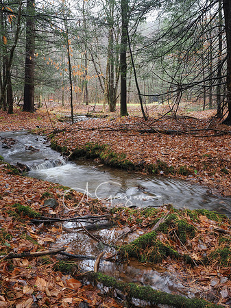 Catskills West