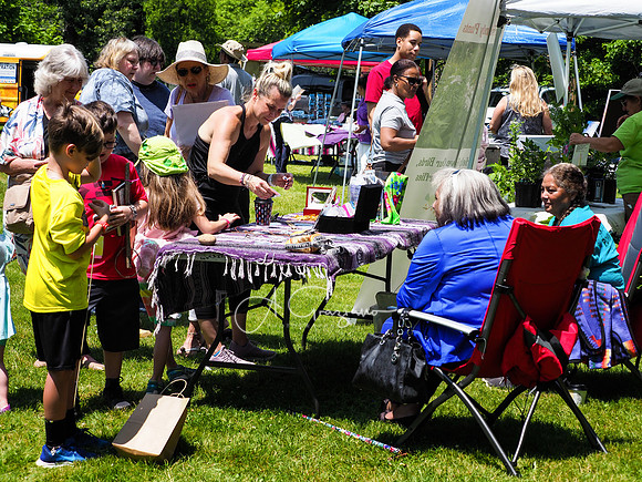 CEED Summer Solstice 2019