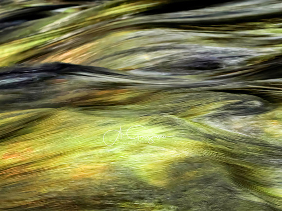 Magic Carpet Ride -Blake Brook, Epsom, New Hampshire
