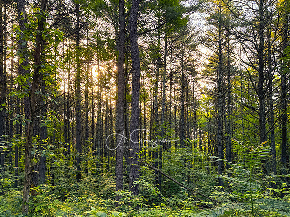 Getaway - Catskills East 2024
